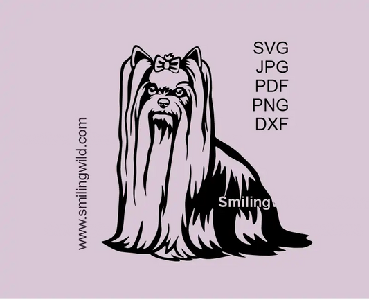 Yorkshire Terrier dog in full body SVG PNG DXF black clipart, full length long coat vector cut file for Cricut and laser cutting crafts