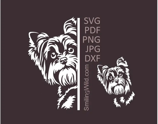 Yorkshire Terrier peeking around the corner and a separete face design in white SVG PNG DXF vector cuttable clipart for Cricut and laser cutting