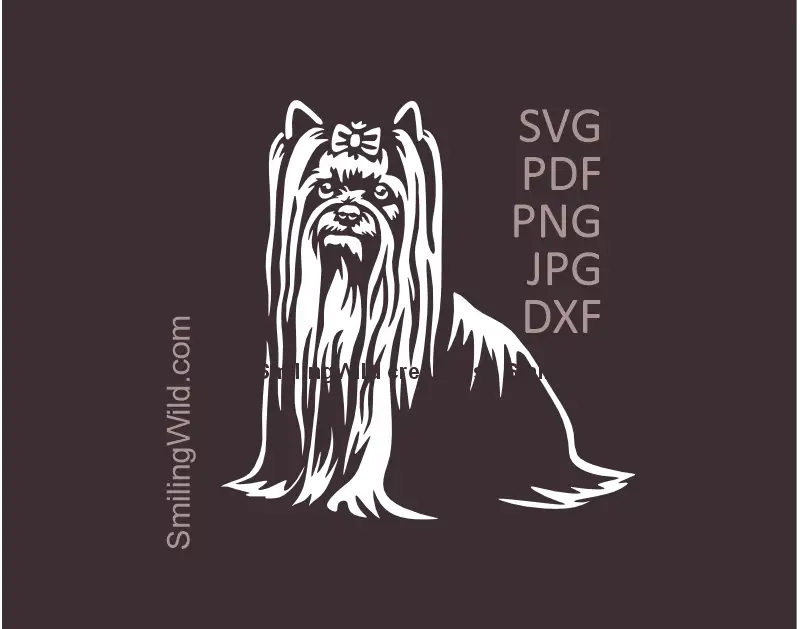 Yorkshire Terrier white SVG PNG DXF long coat vector clipart digital file for Cricut crafts and laser cutting