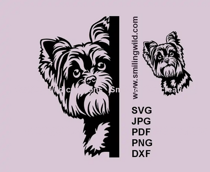 Yorkshire Terrier SVG, png, clipart showing black Yorkie peeking around a corner an a full head with curious eyes  for craft making on Cricut and laser devices